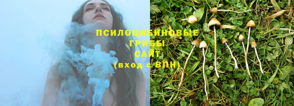 кокс Богданович