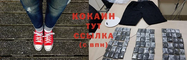 соль ск Богородицк