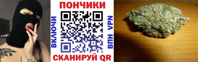 Марихуана план  Купить  Николаевск-на-Амуре 